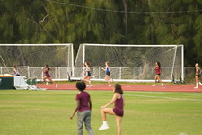 Enlarge photo 482