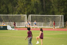 Enlarge photo 486