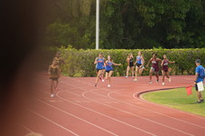Enlarge photo 498