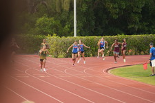 Enlarge photo 499
