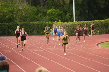 Enlarge photo 502