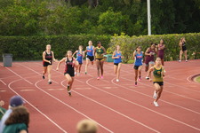 Enlarge photo 508