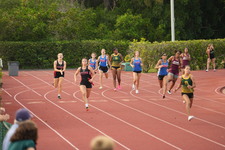 Enlarge photo 509