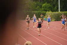 Enlarge photo 511