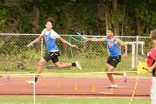 Enlarge photo 533