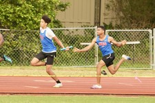 Enlarge photo 540