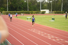 Enlarge photo 595