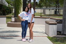 Enlarge photo 174