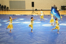 Enlarge photo 95