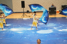 Enlarge photo 272