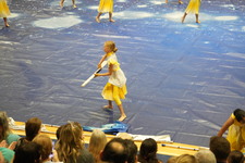 Enlarge photo 295