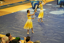 Enlarge photo 307
