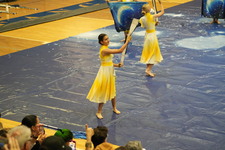 Enlarge photo 308