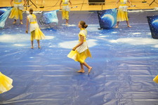 Enlarge photo 315