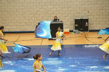 Enlarge photo 348