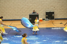 Enlarge photo 349