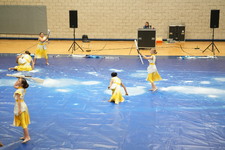 Enlarge photo 433