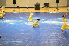 Enlarge photo 441