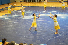Enlarge photo 455