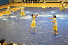 Enlarge photo 457