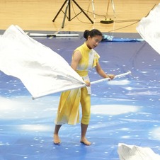 Enlarge photo 592