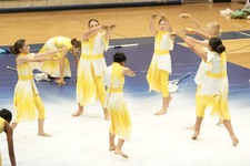 Enlarge photo 780