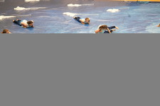 Enlarge photo 102
