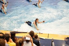 Enlarge photo 312