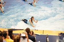 Enlarge photo 315