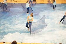 Enlarge photo 634