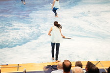 Enlarge photo 1130