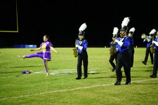 Enlarge photo 135