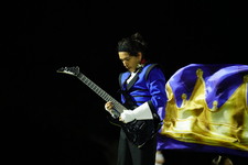 Enlarge photo 151