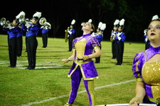 Enlarge photo 241