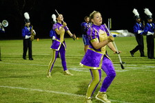 Enlarge photo 259