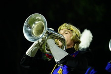 Enlarge photo 262
