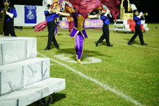 Enlarge photo 284