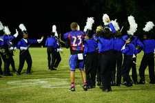 Enlarge photo 307