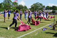 Enlarge photo 229