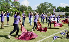 Enlarge photo 230
