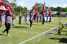 Enlarge photo 235