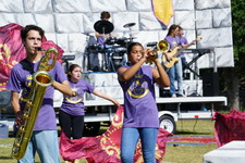 Enlarge photo 244