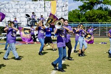 Enlarge photo 342