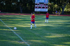 Enlarge photo 63