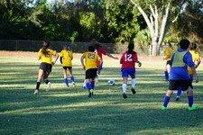 Enlarge photo 132