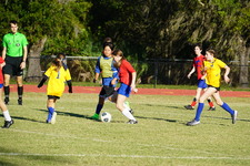 Enlarge photo 169