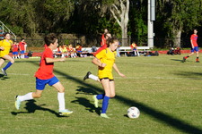 Enlarge photo 226