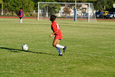 Enlarge photo 244