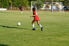 Enlarge photo 245