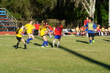 Enlarge photo 275